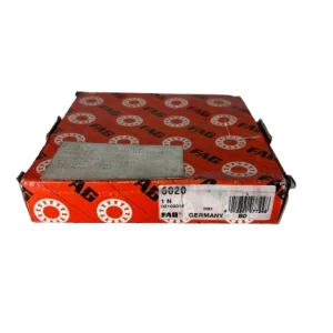 FAG 6020 1N 02100016
