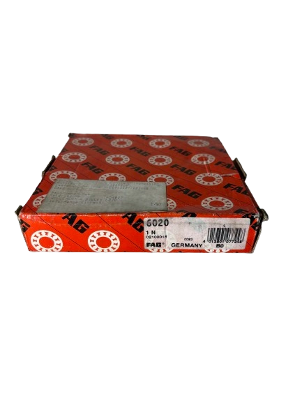 FAG 6020 1N 02100016